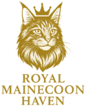 Royal Maine Coon Haven